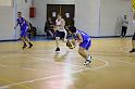 Basket 242036